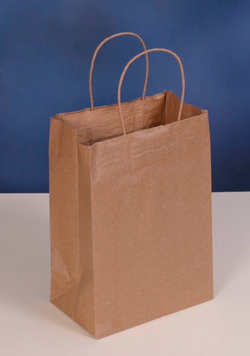 Brown Paper Bag With Handle