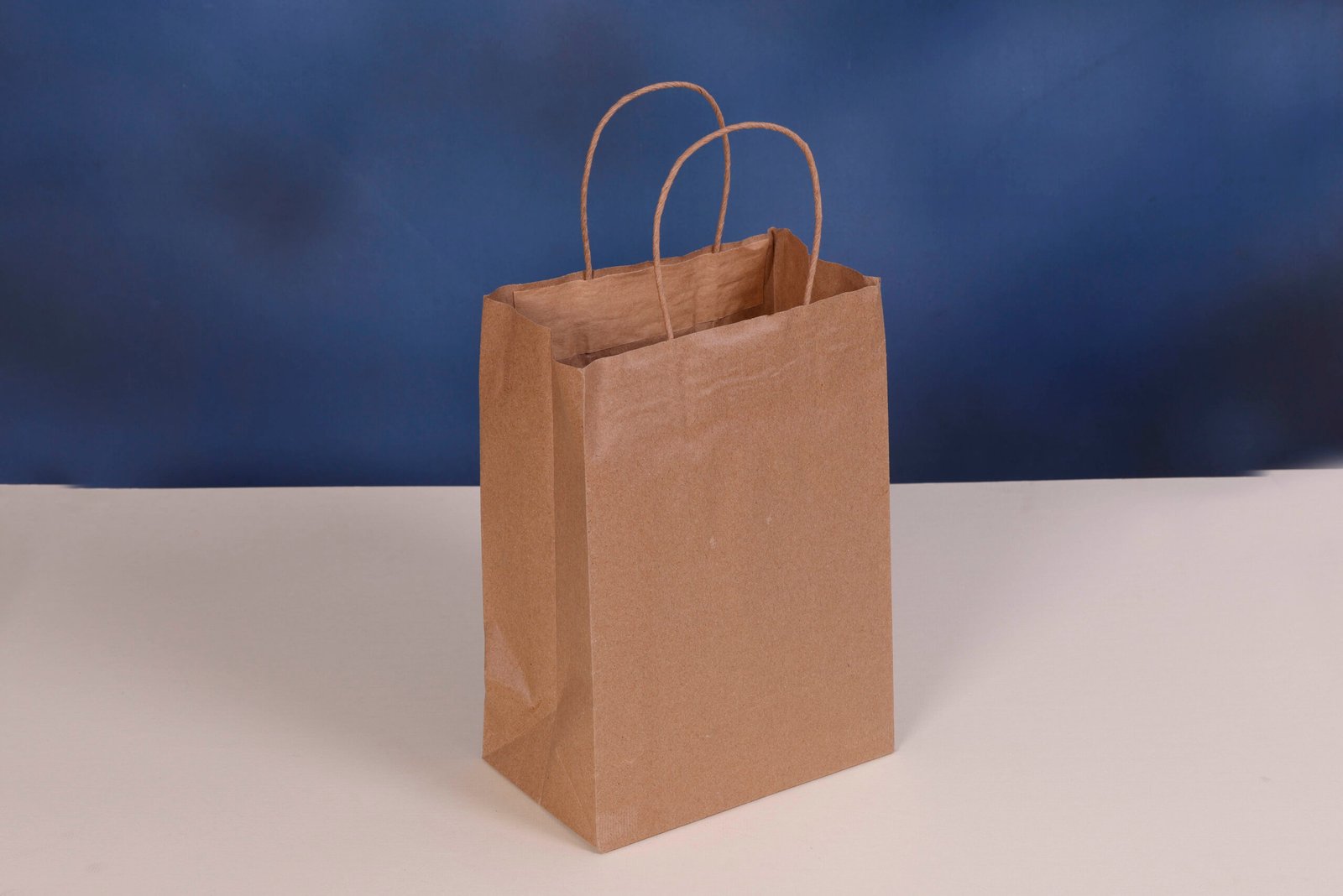 Brown Paper Bag With Handle