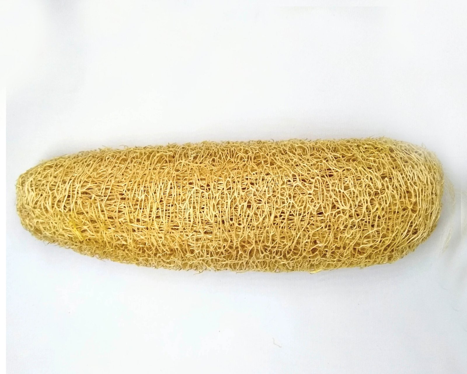 Ridge Gourd Bathing Scrub